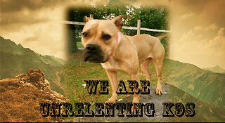 WE ARE UNRELENTING K9S (THE introduction video)