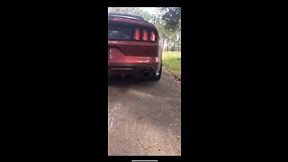 Mustang GT cold start