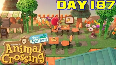 Animal Crossing: New Horizons Day 187 - Nintendo Switch Gameplay 😎Benjamillion
