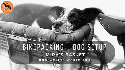 How I travel with my dog while bikepacking around the world. Mira’s dogpacking set-up