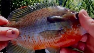 Sneak Boat fishing the Edisto River