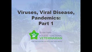 Viruses, Viral Disease, Pandemics... There is No Waste In Nature!
