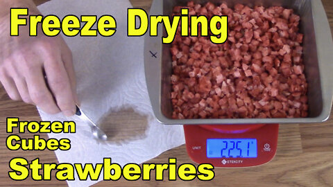 Freeze Drying Frozen Strawberry Cubes