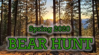 Idaho City Bear Hunt, 2020