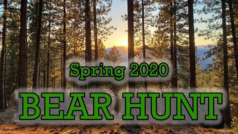 Idaho City Bear Hunt, 2020