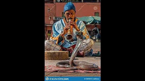 morocco snake charmer
