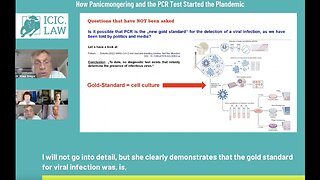 Dr. Reiner Fuellmich - How Panicmongering and the PCR Test started the Plandemic