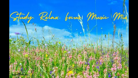 Study | Relax | Focus | Music Mix