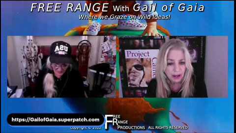 KERRY INTERVIEWED BY GAIL OF GAIA: ARE WE THERE YET? THE PLAN