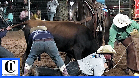 Wild Cow Milking - 2021 Motley / Dickens Old Settlers Rodeo | Friday