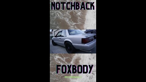 The Notchback