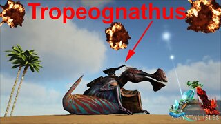 Ark Tropeognathus Everything You need Right Here