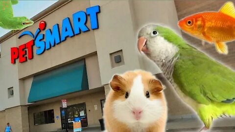 EXPLORING PETSMART | ANIMAL FRIENDS EVERYWHERE |