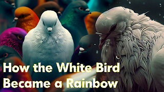 The StoryTeller - How the White Bird Became a Rainbow