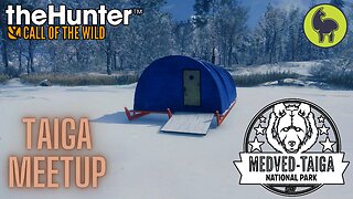 Taiga Meetup, Medved Taiga | theHunter: Call of the Wild (PS5 4K)