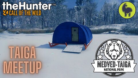 Taiga Meetup, Medved Taiga | theHunter: Call of the Wild (PS5 4K)
