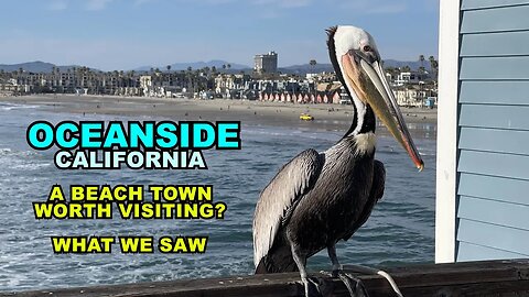 OCEANSIDE: A California Beach Town Worth Visiting? What We Saw.