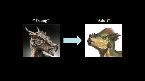Dinosaurs on The Ark? Part#7