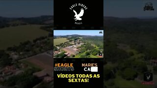 Canal @Diário Estrada voando #drone Maries Café! #shorts #eagleshorts