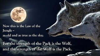 The One Earth-Based Law That Can't Be Broken! The Law Of The Jungle. — John Bowne | WE in 5D: Given Fewer and Fewer Options it’s Feasible to REMEMBER—The Simulacrum Does NOT Assist You in Materialization WITHOUT Your Physical Productivity!!