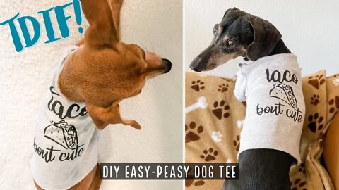 How to make an Easy-Peasy Dog Tee from a onesie