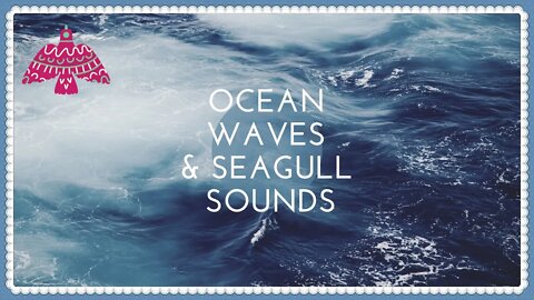 Soothing OCEAN WAVES & SEAGULLS Sleep Sounds🌊 Sea Gull Sounds, Sounds of The Ocean⛵ 1 Hour
