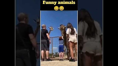 funny animals videos 😀😀😀