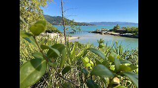 Guiando você pelo paraíso: Praia da Ponta dos Ganchos em Governador Celso Ramos