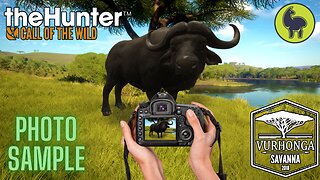 Photo Sample, Vurhonga Savanna | theHunter: Call of the Wild (PS5 4K)