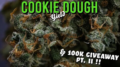 Cookie Dough - Final Yield (and 100K GIVEAWAY pt. II!!)