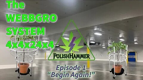 Webbgro 4x4x24x4 ep. 1 "Begin Again" 🕸🌲👽🔨 #WEBBGRO #NORTHGENETICS #SPIDERFARMER #VIVOSUN #420 #HST