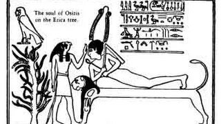 The Murder of Dionysus-Osiris