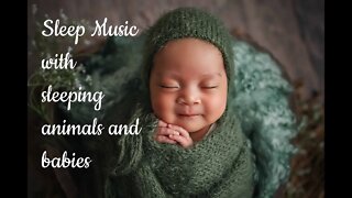 ★★★★★ 1 Hour Super Relaxing Baby Music ♥♥♥ ♫♫♫ Sleep Music with sleeping animals and babies