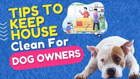 Tips to Keeping the House Clean For Dog Owners