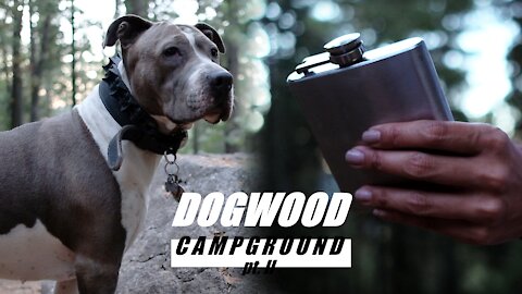 Cooking the Best Food while Camping with a Pitbull Terrier Dog | Dogwood pt. II