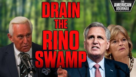 Roger Stone Blasts RINO Republicans Who Need To Be Primaried