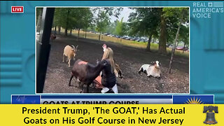 President Trump, 'The GOAT,' Has Actual Goats on His Golf Course in New Jersey