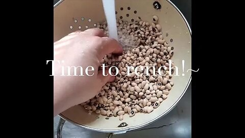 Step by step vid on processing Black Eyed Peas in a Canner (Minus the ham chunks)