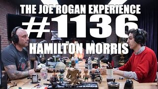 Joe Rogan Experience #1136 - Hamilton Morris