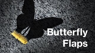 Butterflies Are Not The Only Thing That Flaps