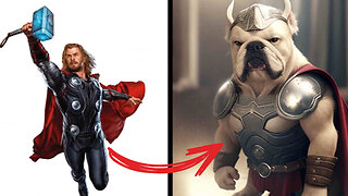 AVENGERS but BULLDOGS💥 All Characters Avengers but DOGS💥