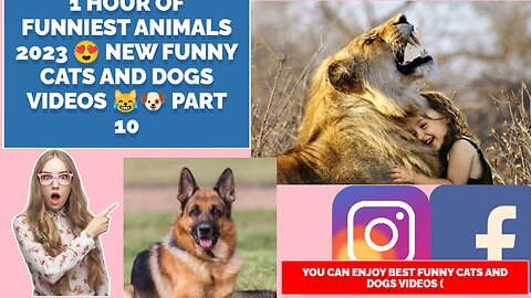 1 Hour of Funniest Animals 2023 😍 New Funny Cats and Dogs Videos 😹🐶 Part 10