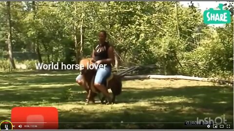 Large Over Weight Girl Rides Small Little Pony - Is This Abuse? I Say Yes