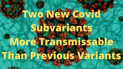 Two New Subvariants Which Are More Transmissable