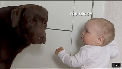 Our Dog Tricked Our Baby For The First Time