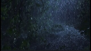 Sleep Immediately with Heavy Downpour Rain & Massive Thunder Sounds in Rainforest at Night