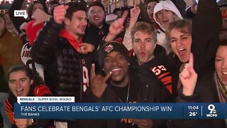 Bengals fans celebrate AFC Championship win