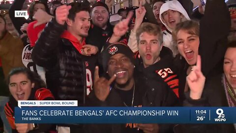 Bengals fans celebrate AFC Championship win