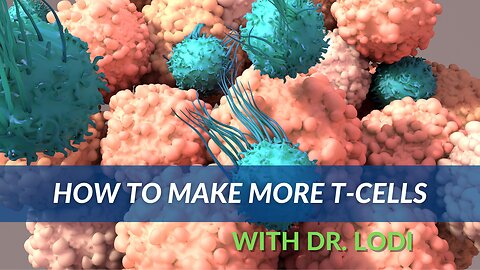 How To Make More T-Cells