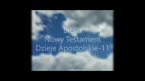 Biblia Nowy Testament Dzieje Apostolskie - 11